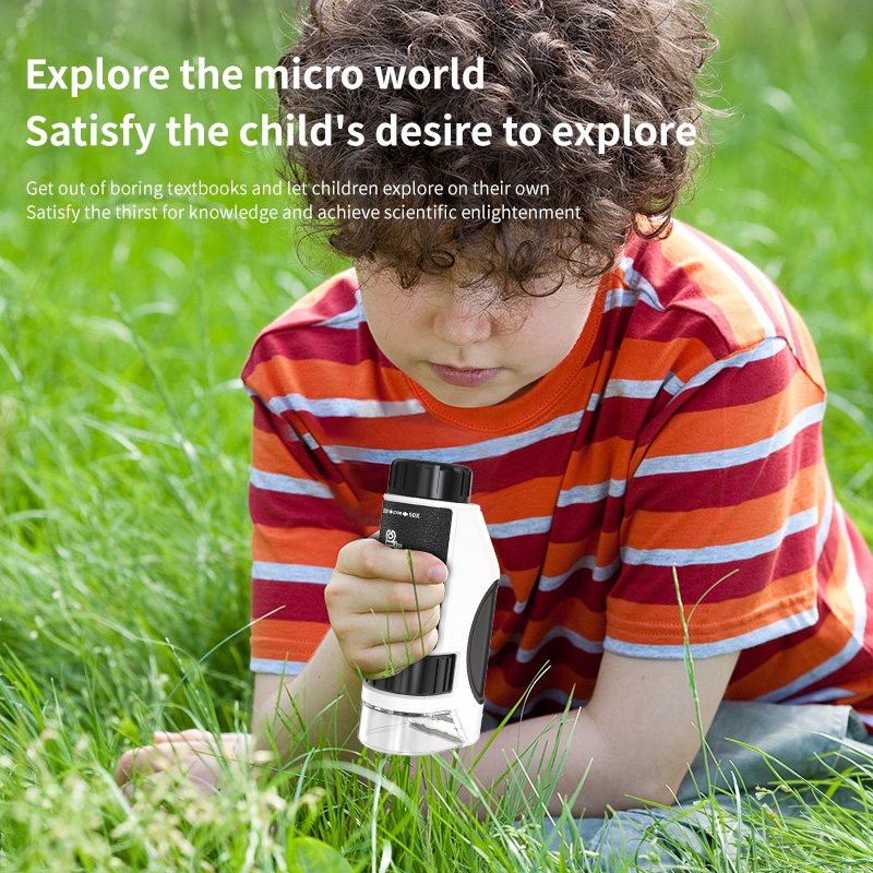 Microscopio portátil de mano p - Kids Definition Of Education reseña y precio