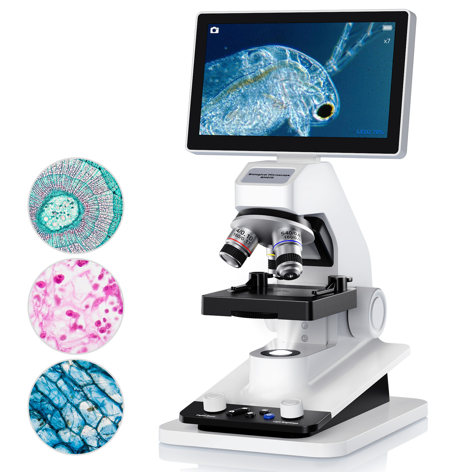 Microscopio Digital de 7 Pulga - Kids Definition Of Education reseña y precio
